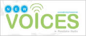 New Voices in Translation Studies